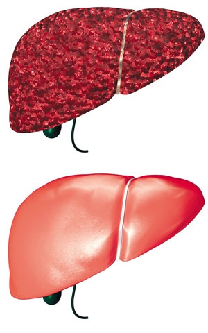 Иллюстрация к книге — О чем говорят анализы. Секреты медицинских показателей - для пациентов [i_024.jpg]