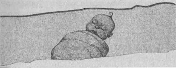 Иллюстрация к книге — Странности нашего тела. Занимательная анатомия [_02.jpg]