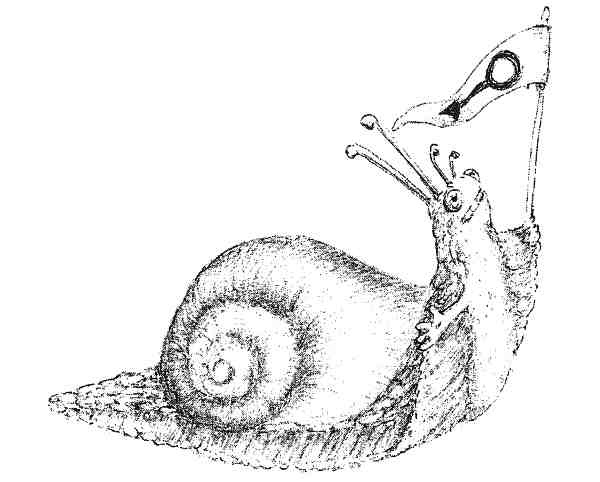 Иллюстрация к книге — Странности эволюции. Увлекательная биология [i_001.jpg]