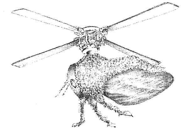 Иллюстрация к книге — Странности эволюции. Увлекательная биология [i_003.jpg]