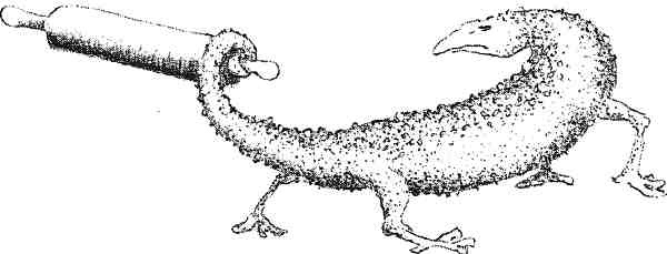 Иллюстрация к книге — Странности эволюции. Увлекательная биология [i_008.jpg]