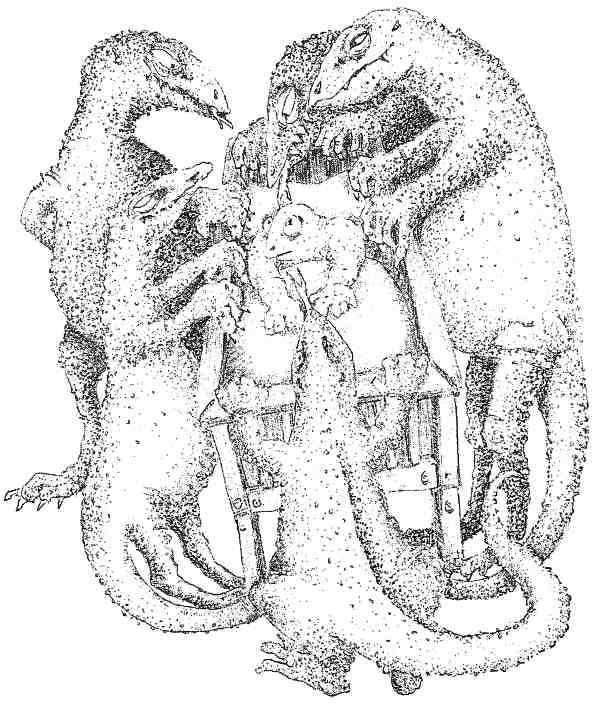 Иллюстрация к книге — Странности эволюции. Увлекательная биология [i_010.jpg]