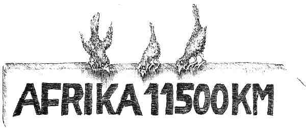 Иллюстрация к книге — Странности эволюции. Увлекательная биология [i_011.jpg]