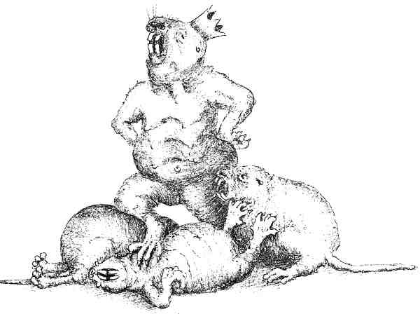 Иллюстрация к книге — Странности эволюции. Увлекательная биология [i_014.jpg]