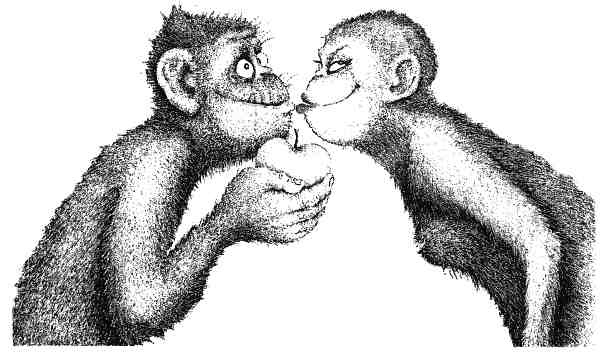 Иллюстрация к книге — Странности эволюции. Увлекательная биология [i_017.jpg]