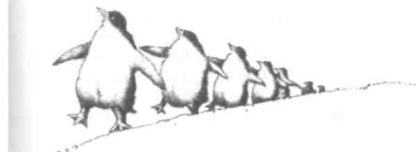 Иллюстрация к книге — Странности эволюции-2. Ошибки и неудачи в природе [i_001.jpg]