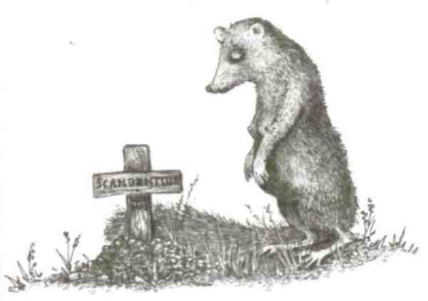 Иллюстрация к книге — Странности эволюции-2. Ошибки и неудачи в природе [i_006.jpg]