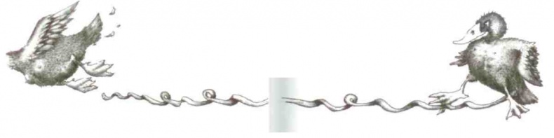 Иллюстрация к книге — Странности эволюции-2. Ошибки и неудачи в природе [i_008.jpg]