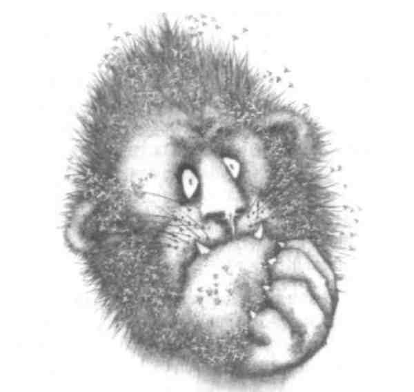 Иллюстрация к книге — Странности эволюции-2. Ошибки и неудачи в природе [i_009.jpg]