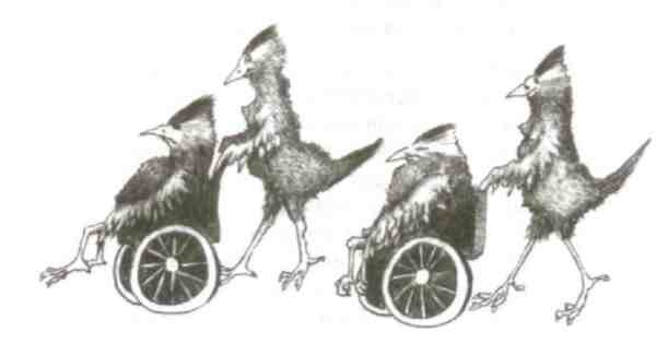 Иллюстрация к книге — Странности эволюции-2. Ошибки и неудачи в природе [i_011.jpg]