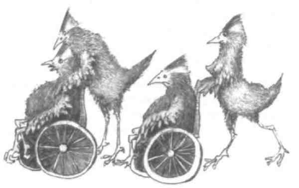 Иллюстрация к книге — Странности эволюции-2. Ошибки и неудачи в природе [i_012.jpg]