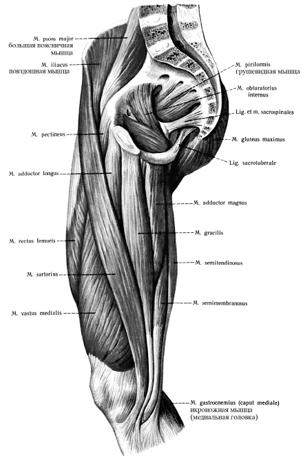 Иллюстрация к книге — Массаж и лечебная физкультура [i_023.jpg]