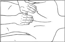 Иллюстрация к книге — Массаж и лечебная физкультура [i_030.jpg]