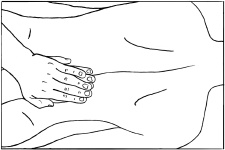 Иллюстрация к книге — Массаж и лечебная физкультура [i_031.jpg]