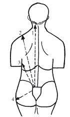 Иллюстрация к книге — Массаж и лечебная физкультура [i_032.jpg]