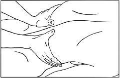 Иллюстрация к книге — Массаж и лечебная физкультура [i_033.jpg]