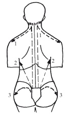 Иллюстрация к книге — Массаж и лечебная физкультура [i_034.jpg]