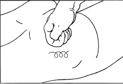 Иллюстрация к книге — Массаж и лечебная физкультура [i_042.jpg]