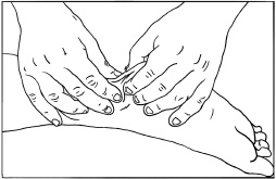 Иллюстрация к книге — Массаж и лечебная физкультура [i_052.jpg]