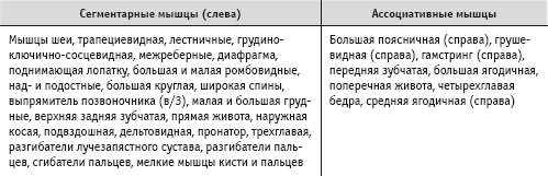 Иллюстрация к книге — Массаж и лечебная физкультура [i_071.jpg]