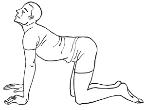 Иллюстрация к книге — Массаж и лечебная физкультура [i_134.jpg]