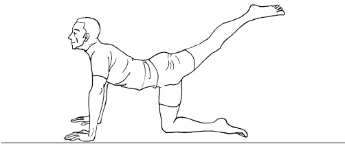 Иллюстрация к книге — Массаж и лечебная физкультура [i_135.jpg]