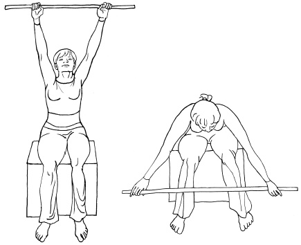 Иллюстрация к книге — Лечим астму и пневмонию без лекарств [i_003.jpg]