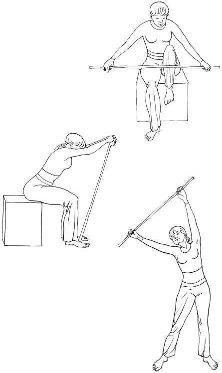 Иллюстрация к книге — Лечим астму и пневмонию без лекарств [i_004.jpg]