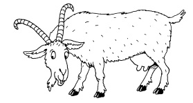 Иллюстрация к книге — 1000 игр, заданий и упражнений для развития речи [autogen_ebook_id101.jpg]