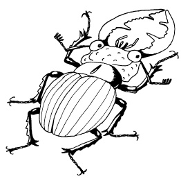 Иллюстрация к книге — 1000 игр, заданий и упражнений для развития речи [autogen_ebook_id107.jpg]