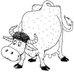 Иллюстрация к книге — 1000 игр, заданий и упражнений для развития речи [autogen_ebook_id14.jpg]