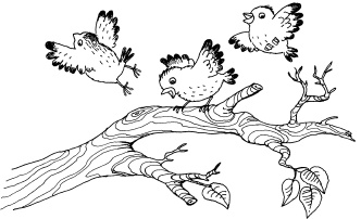 Иллюстрация к книге — 1000 игр, заданий и упражнений для развития речи [autogen_ebook_id18.jpg]