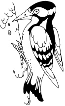 Иллюстрация к книге — 1000 игр, заданий и упражнений для развития речи [autogen_ebook_id67.jpg]