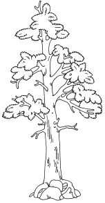 Иллюстрация к книге — 1000 игр, заданий и упражнений для развития речи [autogen_ebook_id69.jpg]