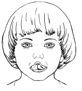 Иллюстрация к книге — 1000 игр, заданий и упражнений для развития речи [autogen_ebook_id75.jpg]