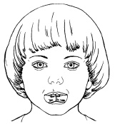 Иллюстрация к книге — 1000 игр, заданий и упражнений для развития речи [autogen_ebook_id89.jpg]