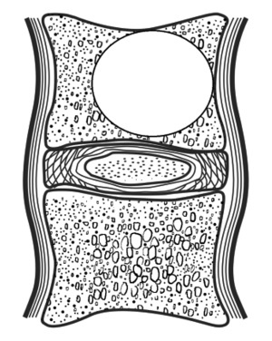 Иллюстрация к книге — Быть здоровым в нашей стране [i_012.jpg]