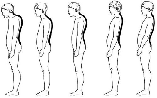 Иллюстрация к книге — Первая скрипка позвоночника. Революционная методика лечения остеохондроза [_51.jpg]