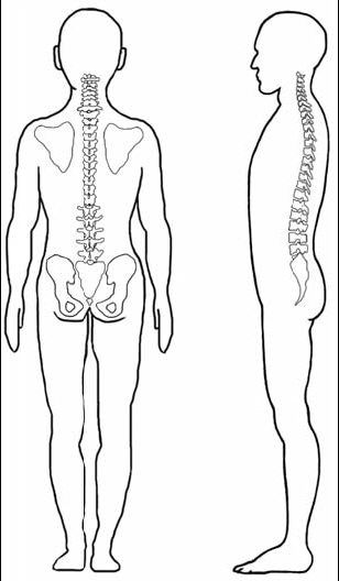 Иллюстрация к книге — Первая скрипка позвоночника. Революционная методика лечения остеохондроза [_52.jpg]