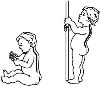 Иллюстрация к книге — Первая скрипка позвоночника. Революционная методика лечения остеохондроза [_53_.jpg]