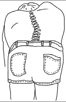 Иллюстрация к книге — Первая скрипка позвоночника. Революционная методика лечения остеохондроза [_55.jpg]