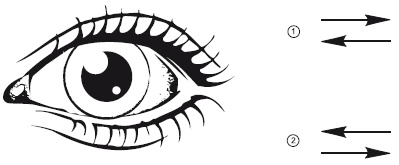 Иллюстрация к книге — Зрение на 100%. Фитнес и диета для глаз [i_007.jpg]