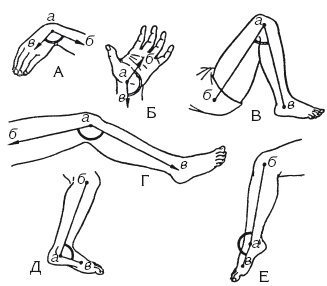 Иллюстрация к книге — Атлас профессионального массажа [i_029.jpg]