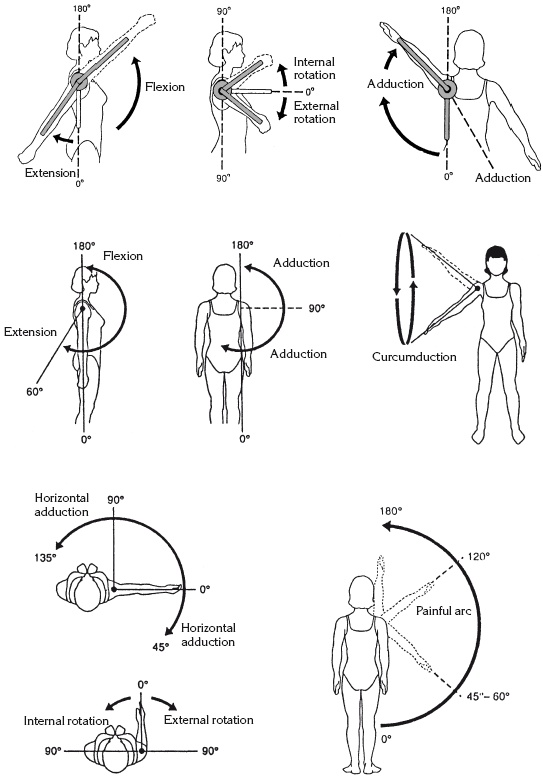 Иллюстрация к книге — Атлас профессионального массажа [i_032.jpg]