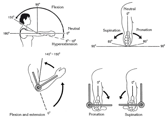 Иллюстрация к книге — Атлас профессионального массажа [i_033.jpg]