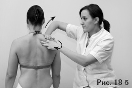 Иллюстрация к книге — Атлас профессионального массажа [i_053.jpg]