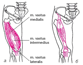 Иллюстрация к книге — Атлас профессионального массажа [i_095.jpg]