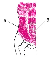 Иллюстрация к книге — Атлас профессионального массажа [i_109.jpg]