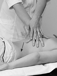 Иллюстрация к книге — Атлас профессионального массажа [i_117.jpg]