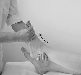 Иллюстрация к книге — Атлас профессионального массажа [i_118.jpg]